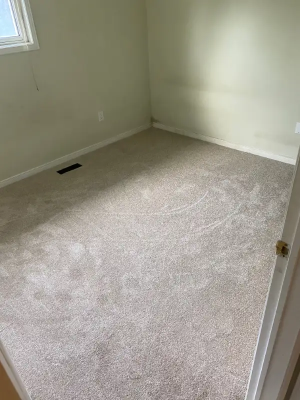 CARPET SALE AND INSTALLATION PRO 647-867-1938 - Photo 2