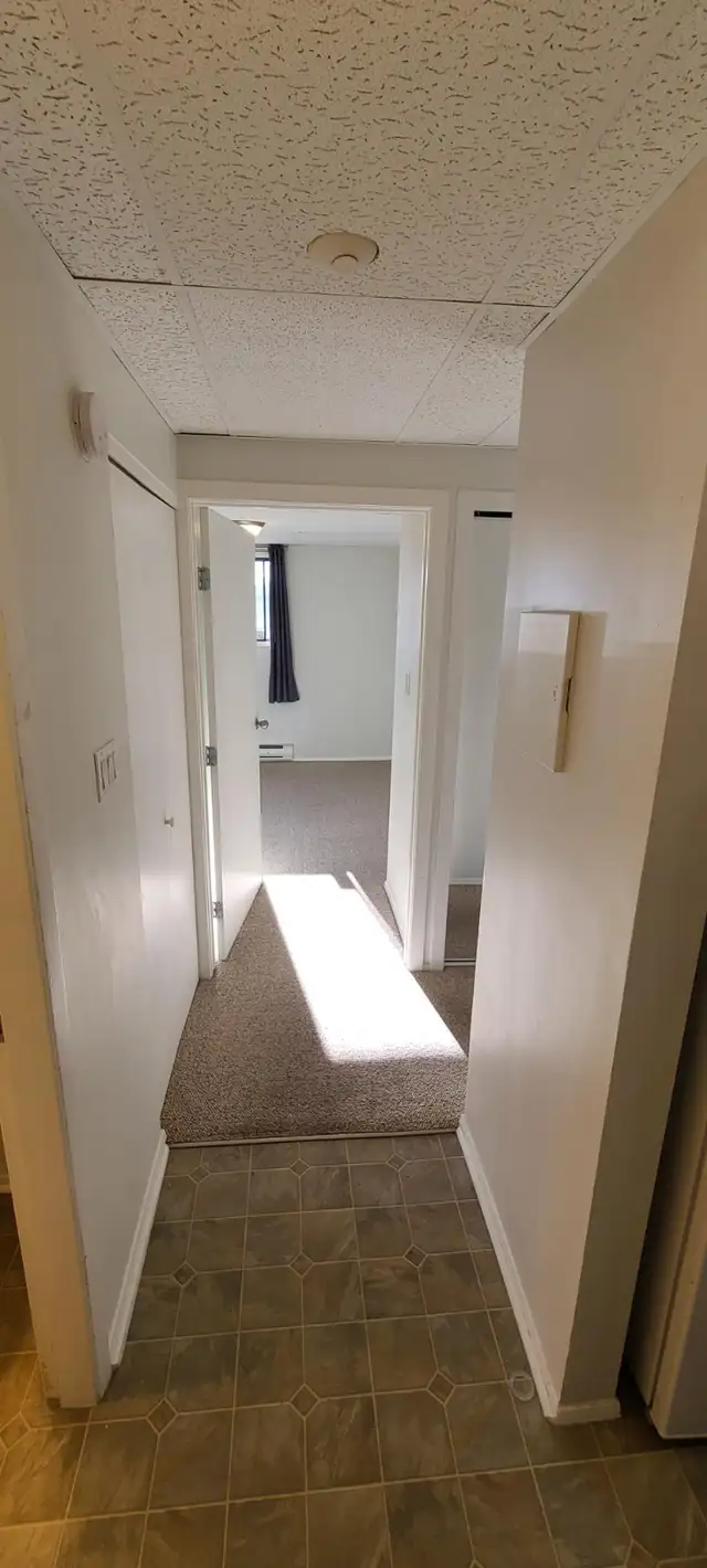 MAIN FLOOR – 1 BDRM – CAT FRIENDLY - Photo 3
