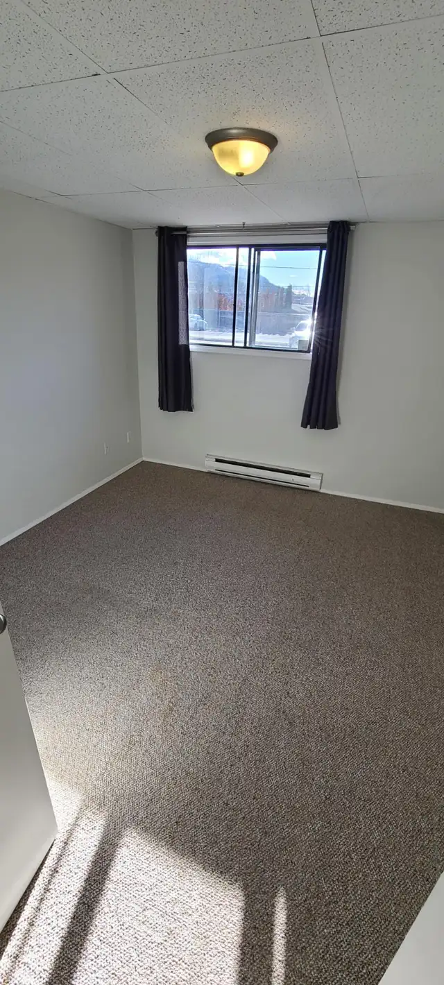 MAIN FLOOR – 1 BDRM – CAT FRIENDLY - Photo 4