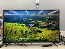 Vizio D43-F1 43" Smart TV