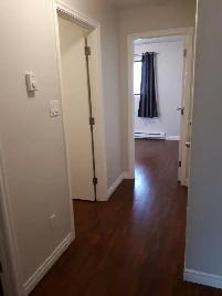 SPACIOUS – RENOVATED – PET FRIENDLY - Photo 4