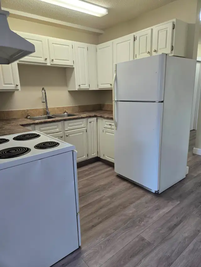 2-BEDROOM COZY • QUIET • PET-FRIENDLY - Photo 3