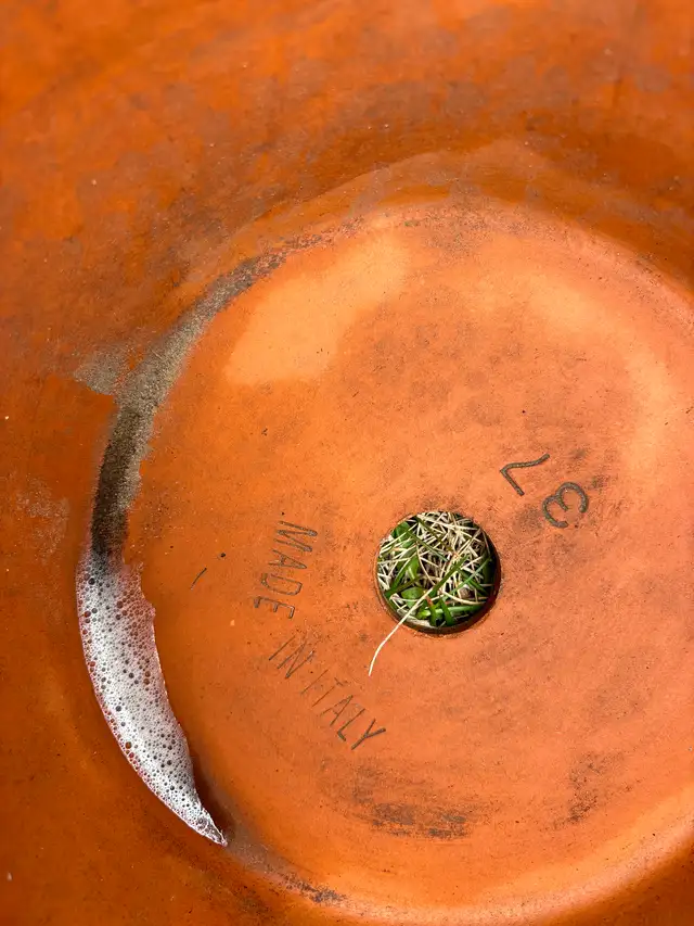 Large clay pots made in Italy - Photo 3