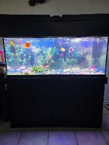 75 Gallon Aquarium For Sale - Photo 2