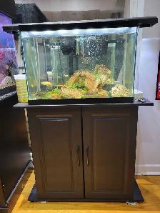 20 Gallon Aquarium For Sale - Photo 3