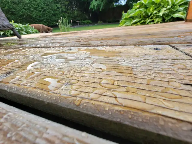 Pressure Washing - Photo 2