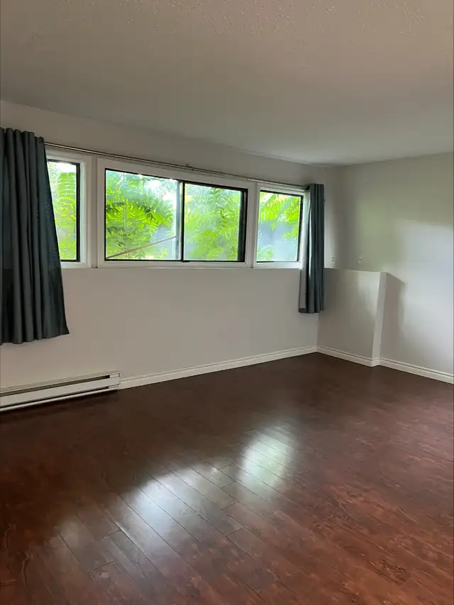 ✨ COZY • QUIET • PET-FRIENDLY ✨ - Photo 6