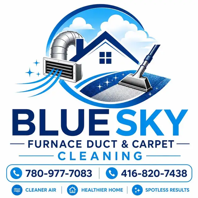 Carpet cleaning - Photo 2