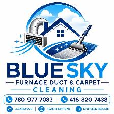 Carpet cleaning - Photo 2