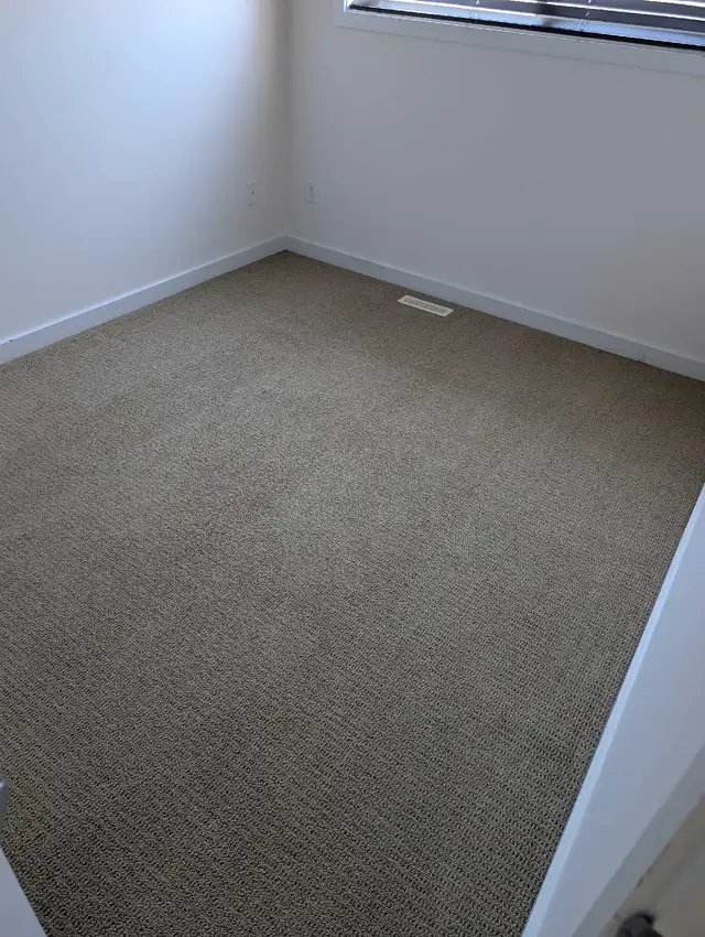 Carpet cleaning - Photo 4