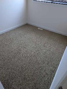 Carpet cleaning - Photo 4