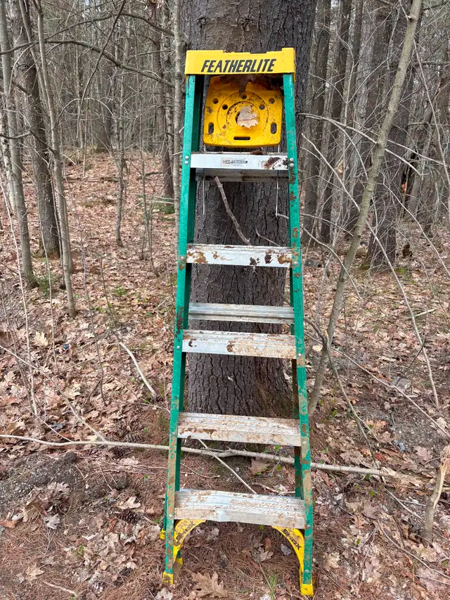 20’ and 6’ ladders