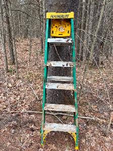 20’ and 6’ ladders
