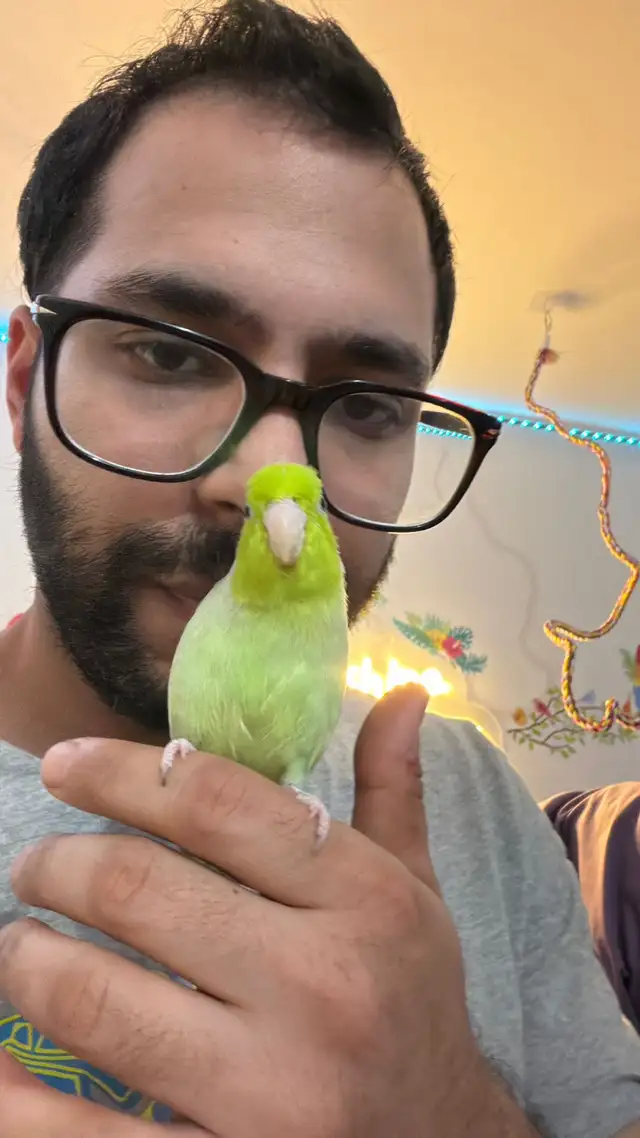 Sunshine Bird Sitter GTA - Photo 4