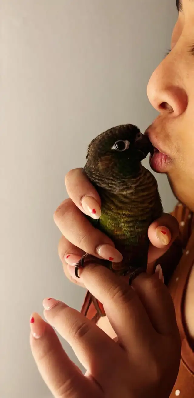 Sunshine Bird Sitter GTA - Photo 7