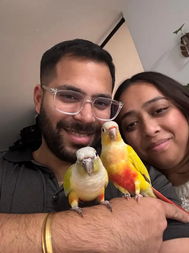 Sunshine Bird Sitter GTA - Photo 8