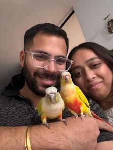 Sunshine Bird Sitter GTA - Photo 8