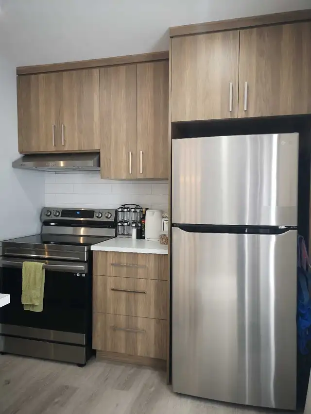 Beautiful and modern 3 ½ (850 sqft) in Longueuil - Photo 4