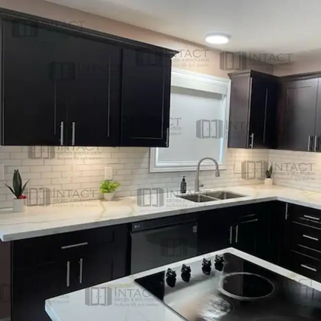 Kitchen Cabinets & Countertops Big Sale - Photo 4