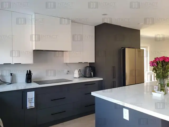 Kitchen Cabinets & Countertops Big Sale - Photo 10