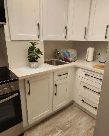 Kitchen Renovation Works- Cabinets Countertops