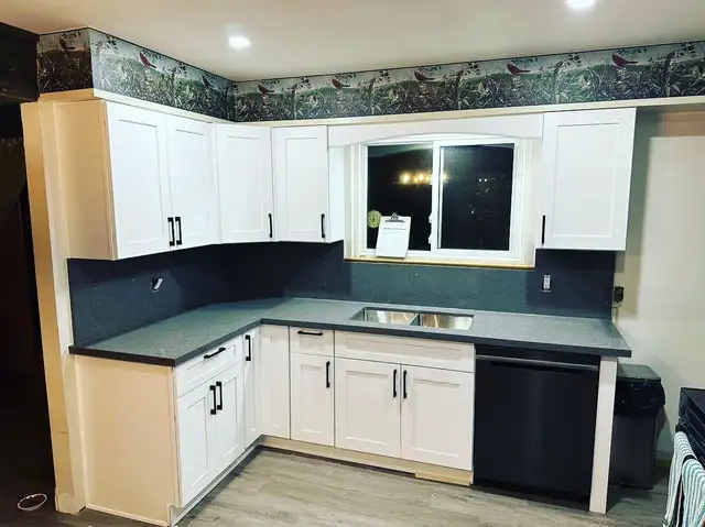 Quartz Countertops / Solid Surfaces