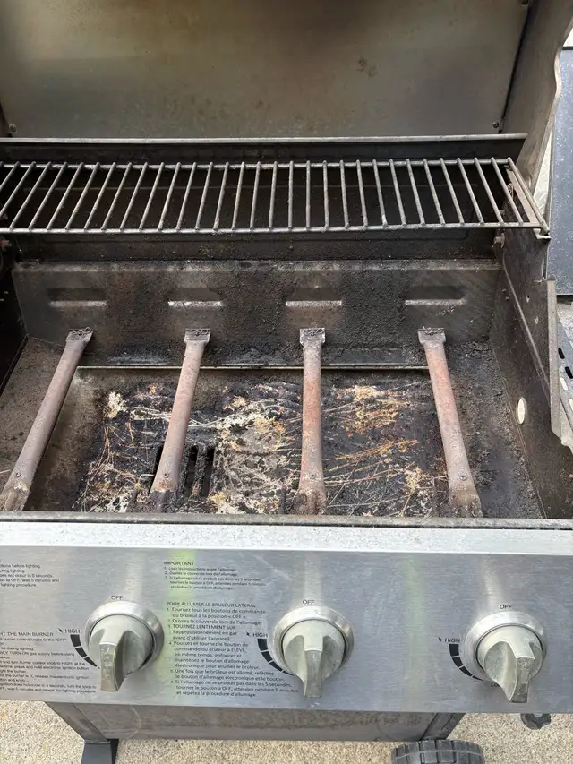 BBQ Propane - Photo 6