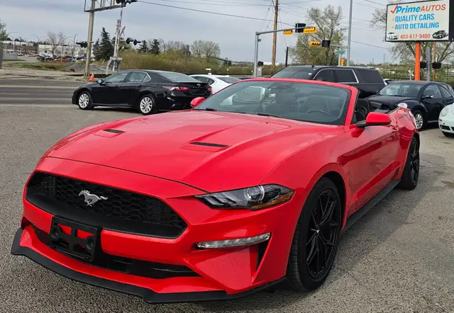 2019 Ford Mustang I4