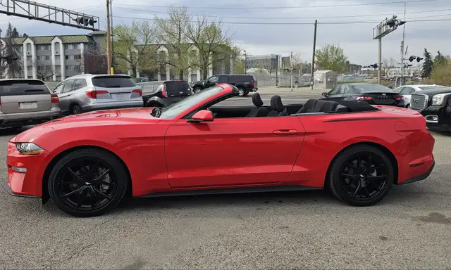 2019 Ford Mustang I4 - Photo 2