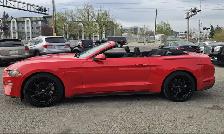 2019 Ford Mustang I4 - Photo 2