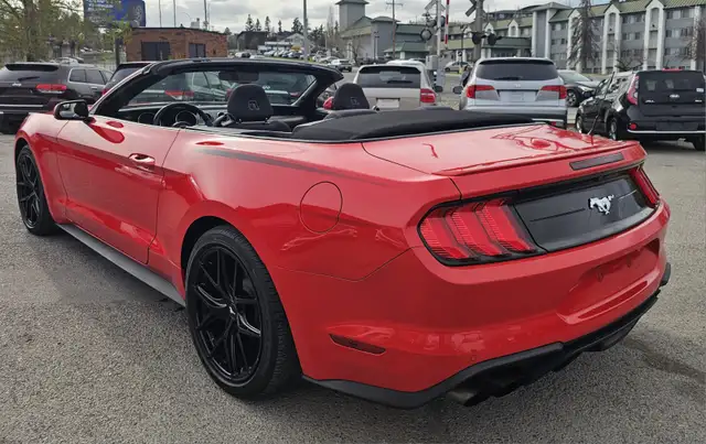 2019 Ford Mustang I4 - Photo 3