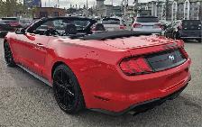 2019 Ford Mustang I4 - Photo 3