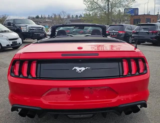 2019 Ford Mustang I4 - Photo 4