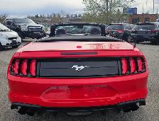 2019 Ford Mustang I4 - Photo 4