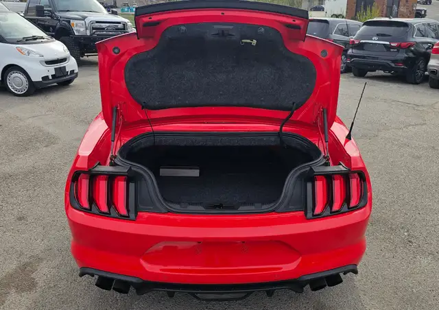 2019 Ford Mustang I4 - Photo 5