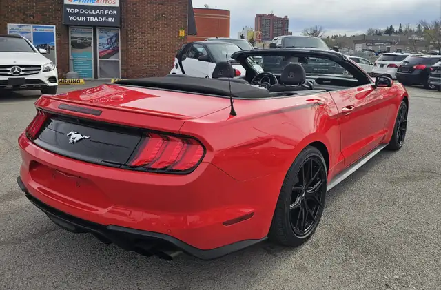 2019 Ford Mustang I4 - Photo 6