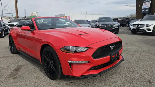 2019 Ford Mustang I4 - Photo 8