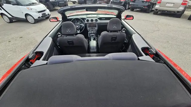 2019 Ford Mustang I4 - Photo 10