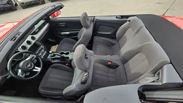 2019 Ford Mustang I4 - Photo 11