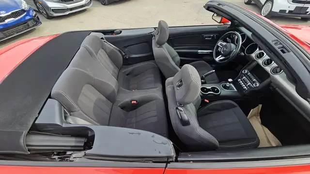 2019 Ford Mustang I4 - Photo 12