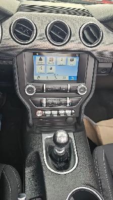 2019 Ford Mustang I4 - Photo 14