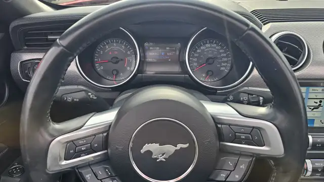 2019 Ford Mustang I4 - Photo 15
