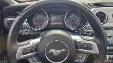 2019 Ford Mustang I4 - Photo 15