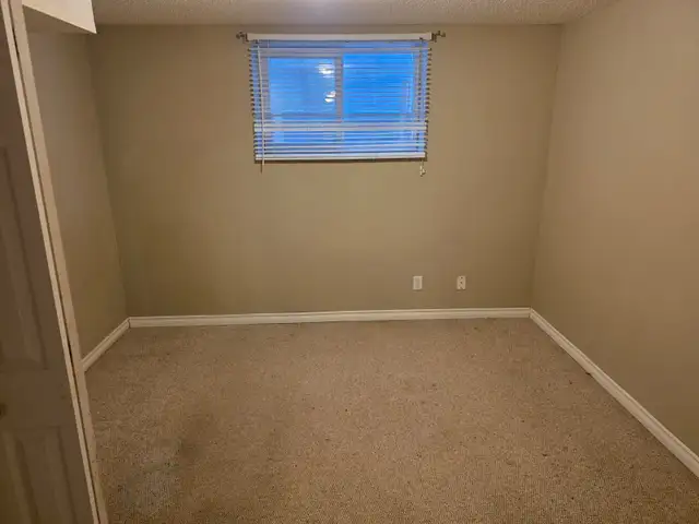 Spacious 1-bedroom Basement Suite - Winston Heights NE - Photo 3