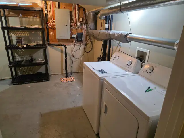Spacious 1-bedroom Basement Suite - Winston Heights NE - Photo 6