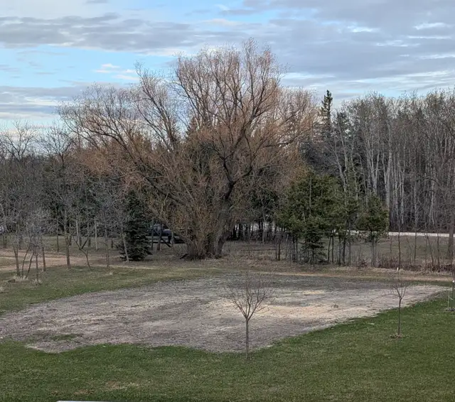 Wanted: Free Soil