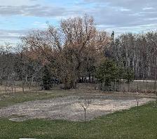 Wanted: Free Soil