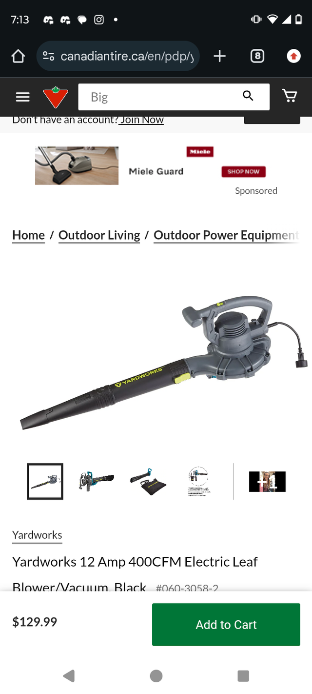 yard works leaf blower/ vacuum