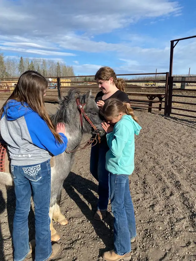 kids pony - Photo 5