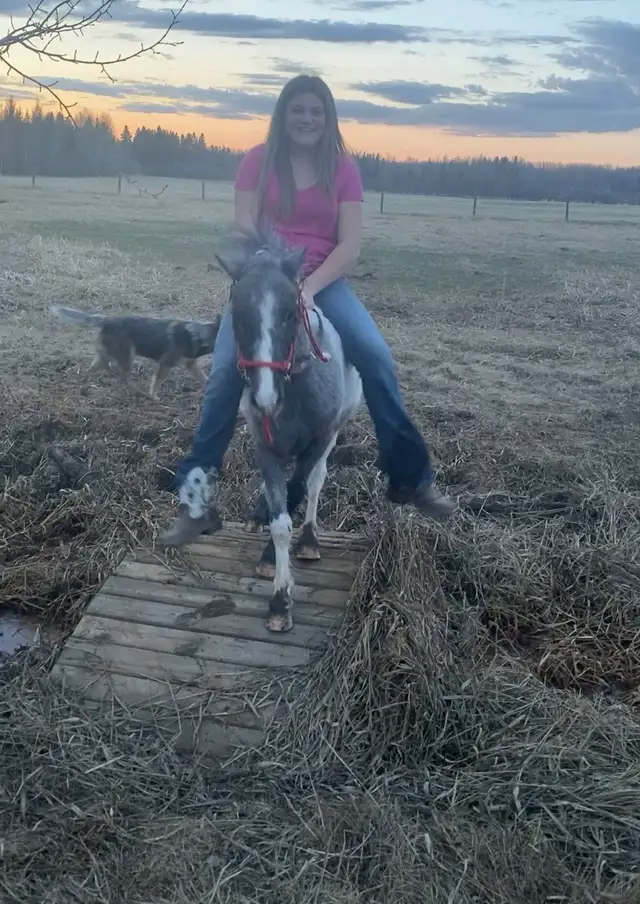 kids pony - Photo 6